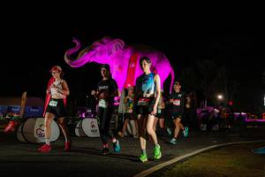 BIB: 
                            <button type="button" onclick="openModal(26534045)" class="btn btn-primary btn-sm float-right btn-popup" data-toggle="modal" data-target=".modal-high-quality">
                        <i class="fas fa-shopping-cart"></i> Add to Cart
                    </button>
                                            <button type="button" onclick="isThisMe(26534045, true)" class="btn btn-success btn-sm float-right btn-popup btn-isme hidden" data-toggle="tooltip" data-placement="bottom" title="นี่คือรูปของคุณใช่ไหม คลิกที่นี่เพื่อเอาเข้าอัลบั้ม">
                        <i class="fas fa-plus"></i> Add to album
                    </button>
                    <button type="button" onclick="isThisMe(26534045, false)" class="btn btn-warning btn-sm float-right btn-popup btn-isnotme hidden">
                        <i class="fas fa-ban"></i> Remove from album
                    </button>